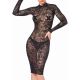 Robe transparente dentelle noire