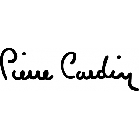 Chaussures Pierre Cardin